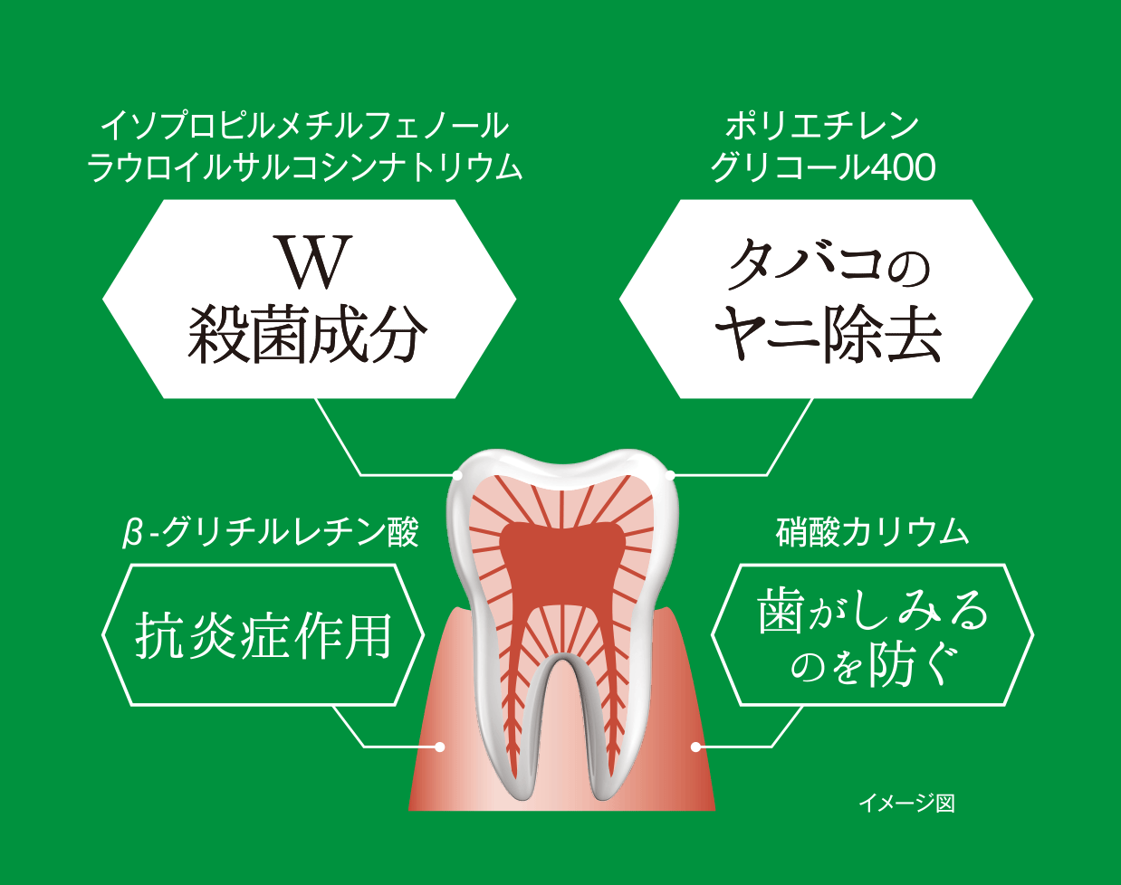 W殺菌成分　タバコのヤニ除去　抗炎症作用 歯がしみるのを防ぐ