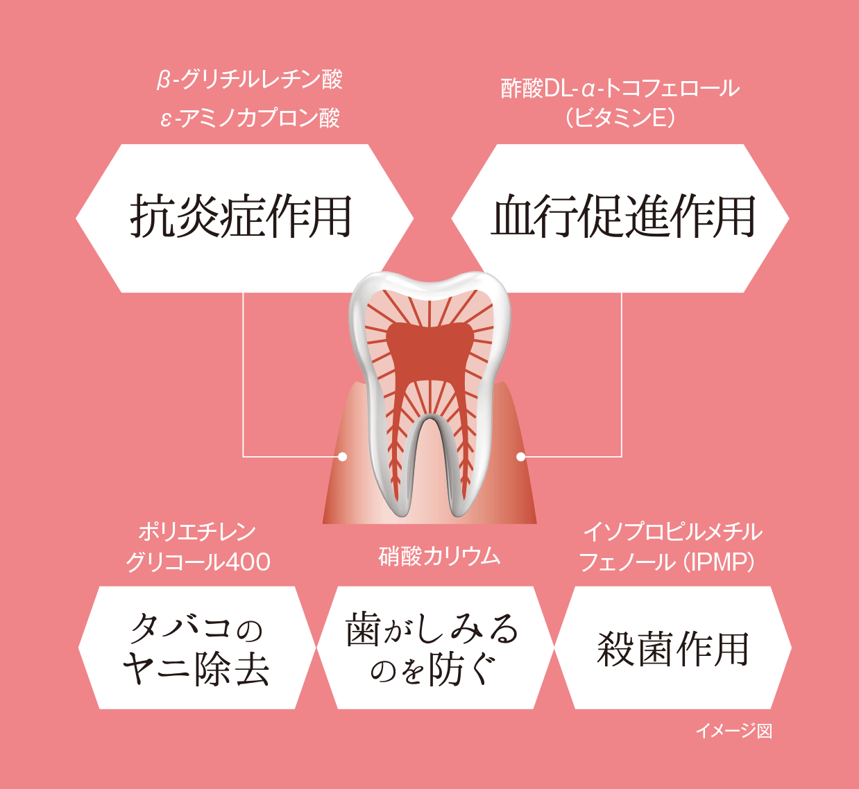 抗炎症作用 血行促進作用 タバコのヤニ除去 歯がしみるのを防ぐ 殺菌作用